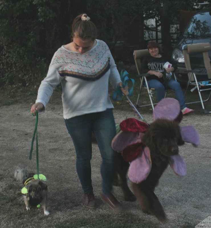 Фотография № 229730