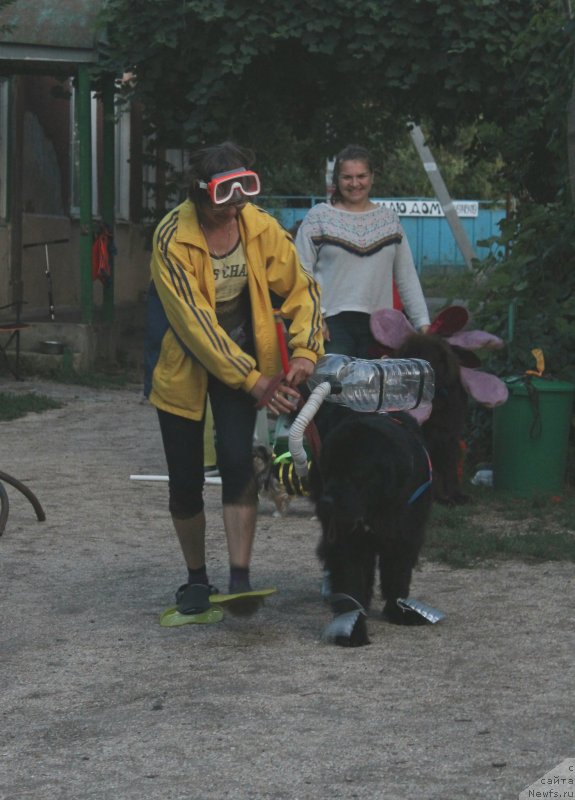 Фотография № 229731