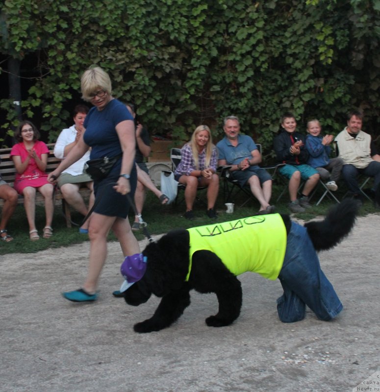 Фотография № 229732