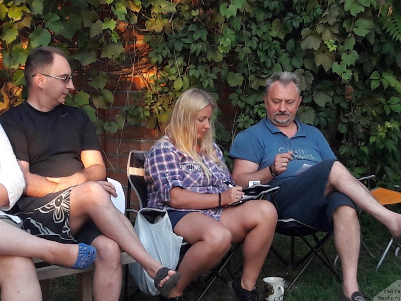 Фотография № 229736