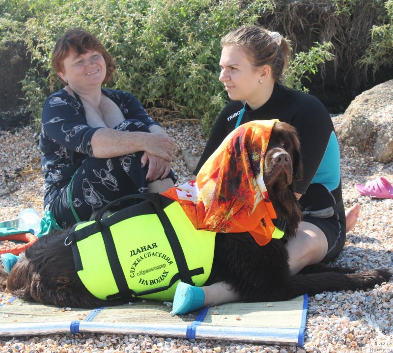 Фотография № 229739