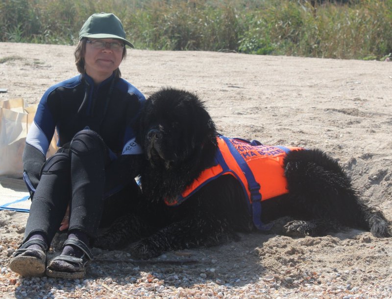 Фотография № 229740