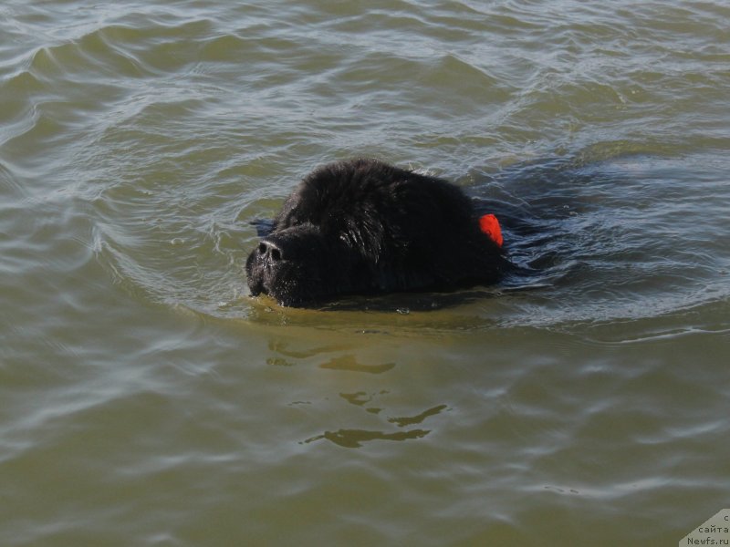 Фотография № 229742