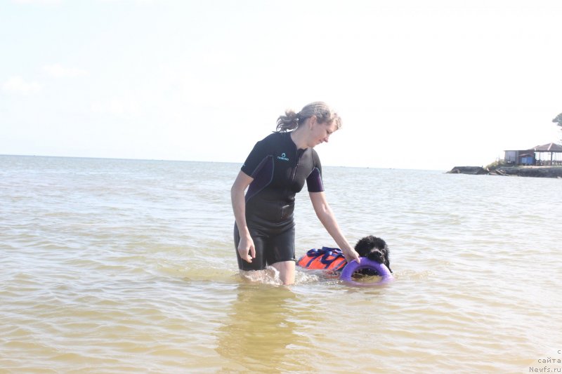 Фотография № 229744