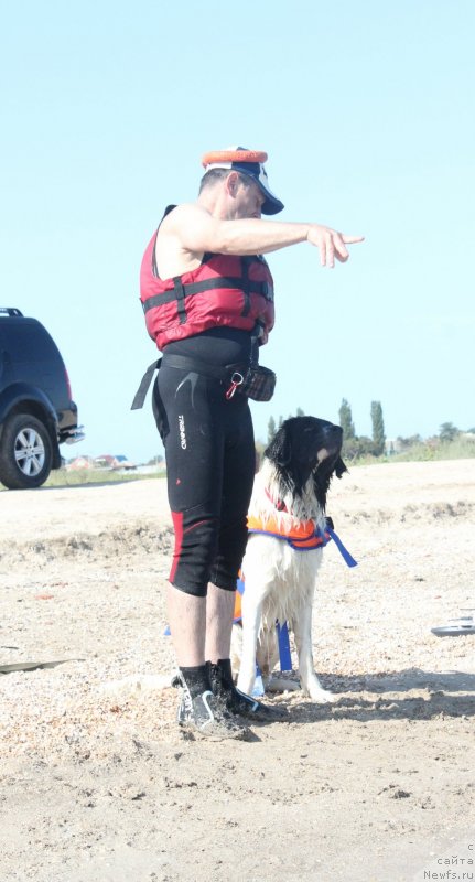 Фотография № 229746