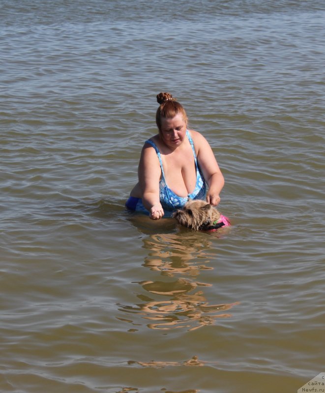 Фотография № 229752