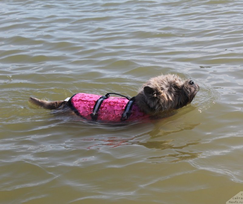 Фотография № 229753