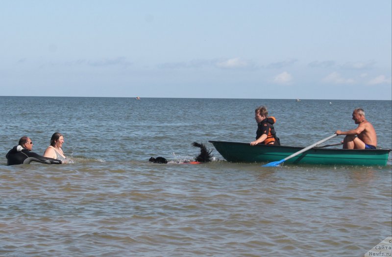 Фотография № 229754