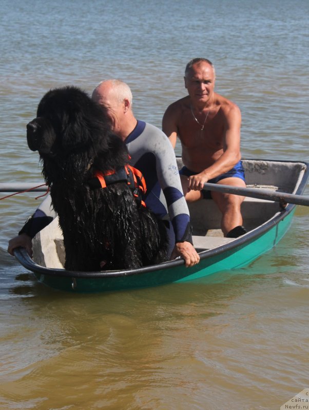 Фотография № 229755