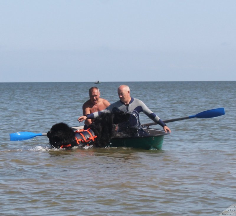 Фотография № 229756