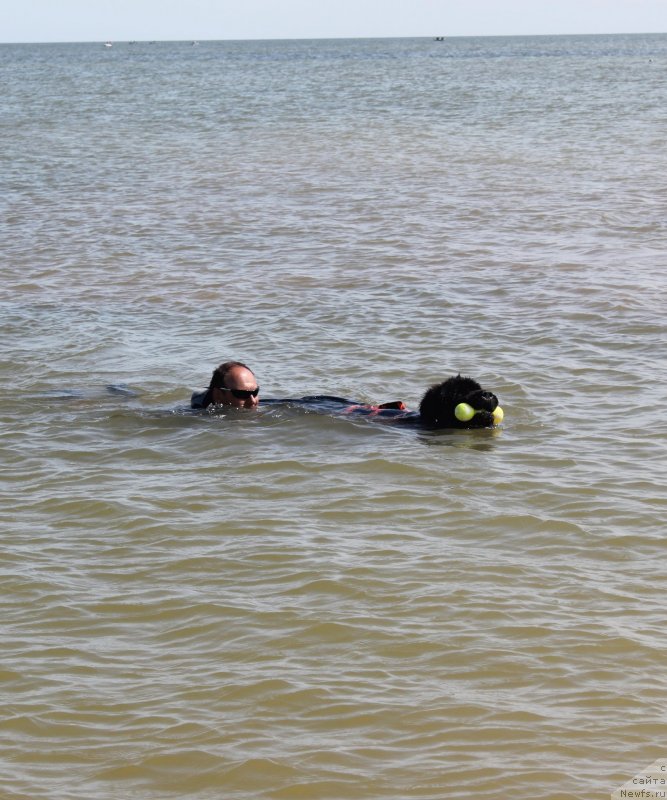 Фотография № 229757