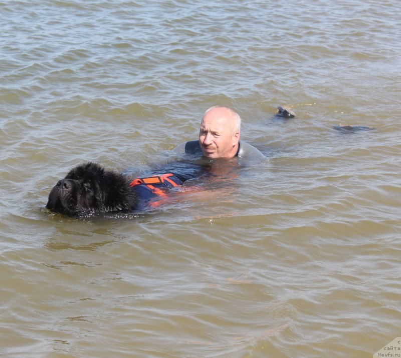 Фотография № 229762