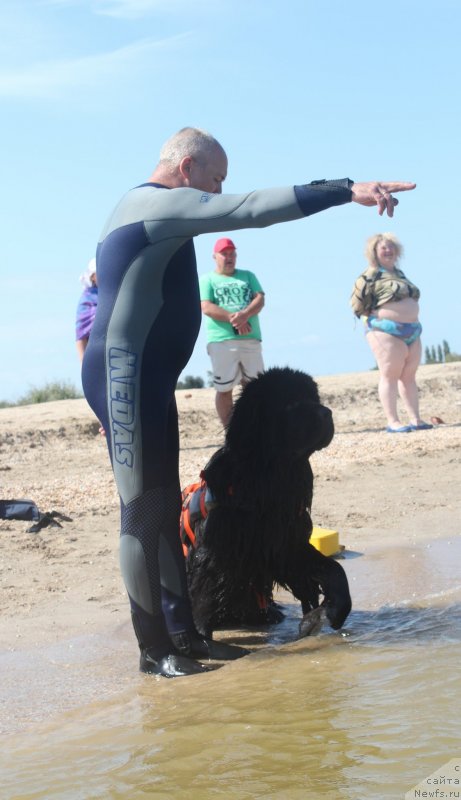 Фотография № 229765