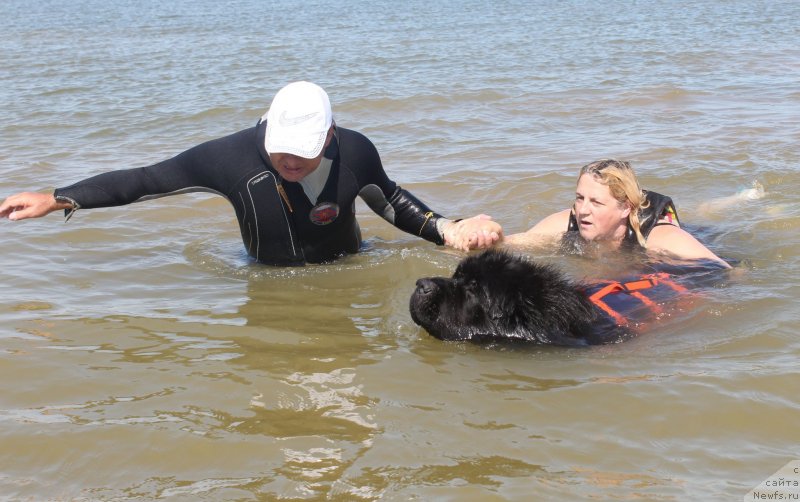 Фотография № 229766