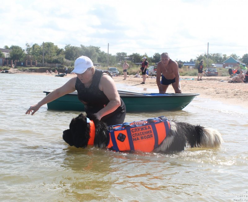 Фотография № 229768