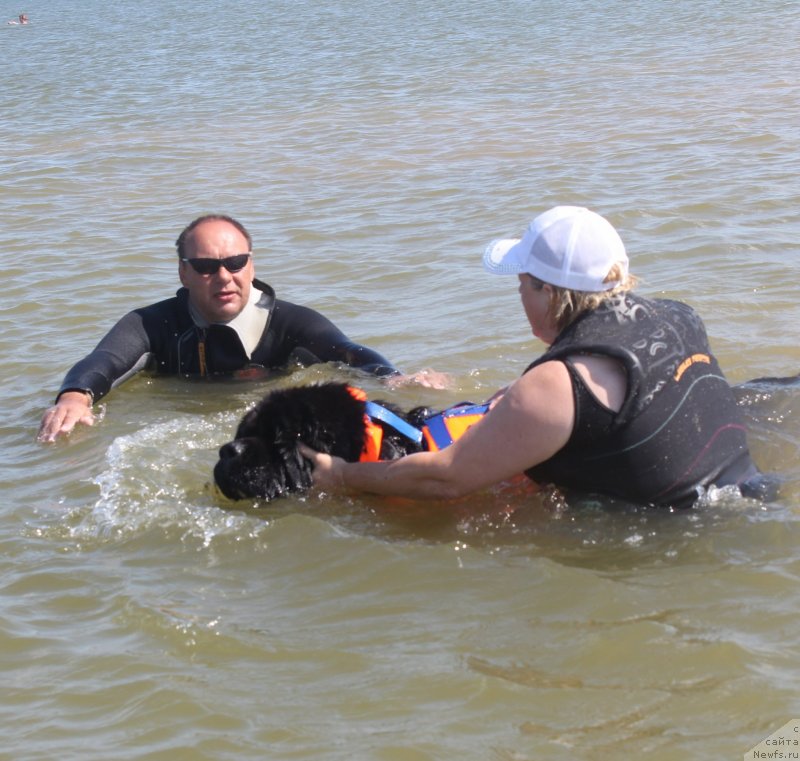 Фотография № 229769