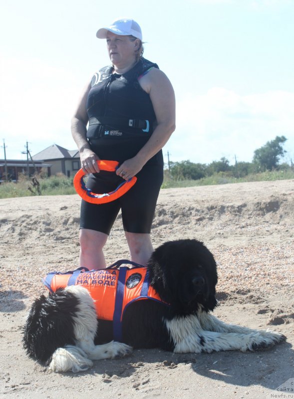 Фотография № 229770