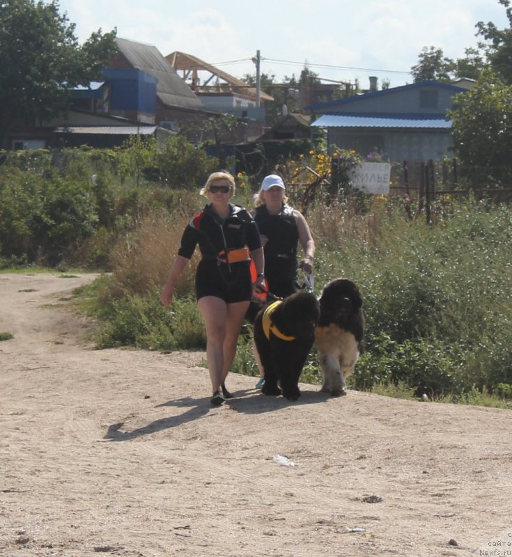 Фотография № 229771