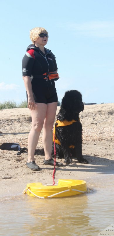 Фотография № 229772