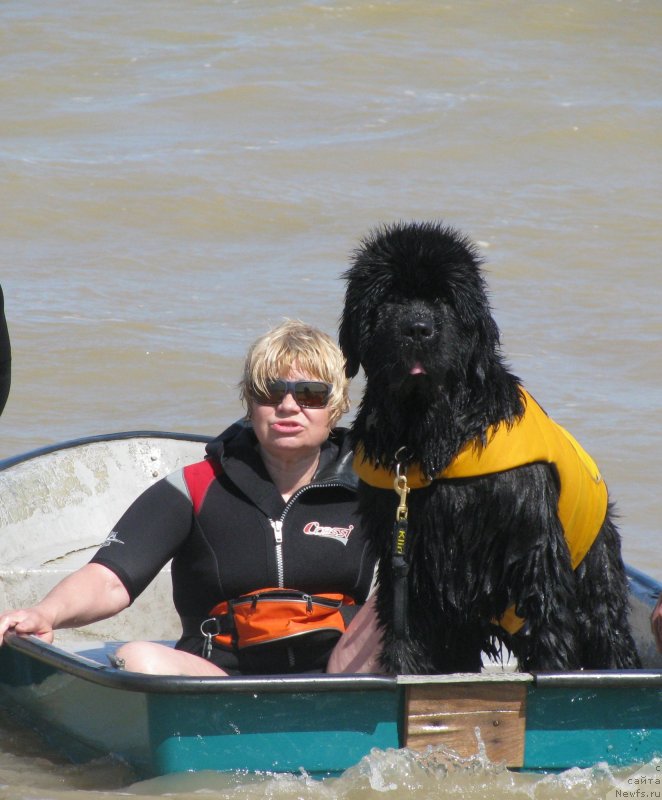 Фотография № 229775