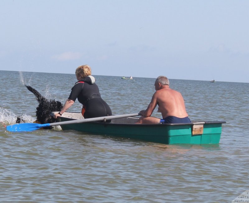 Фотография № 229776