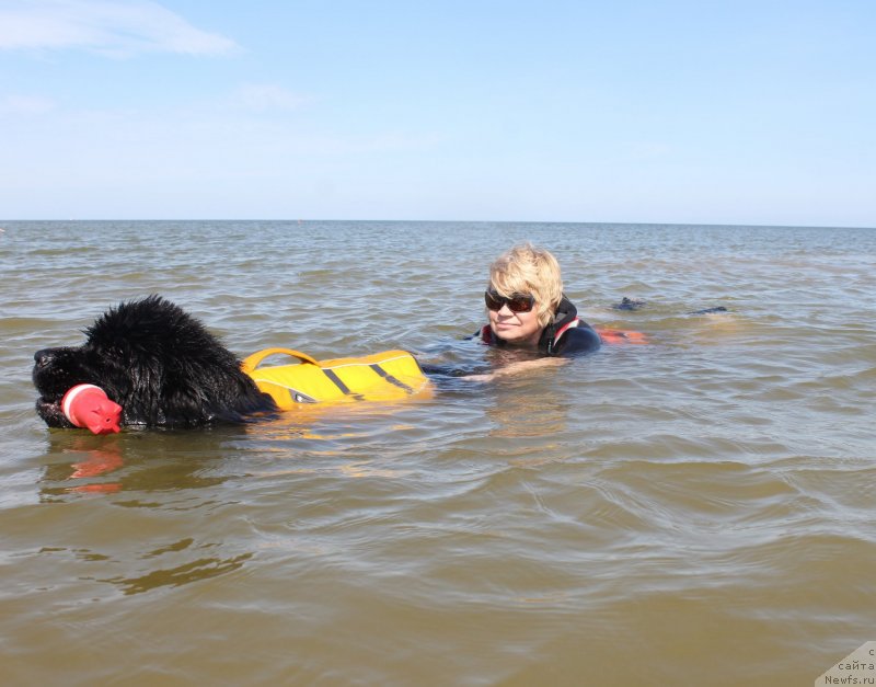 Фотография № 229777