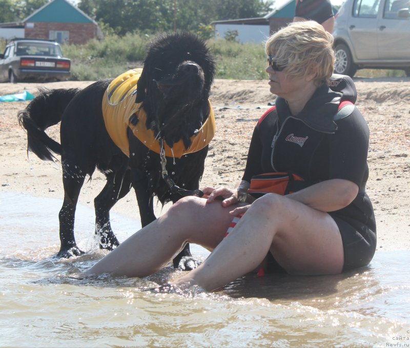 Фотография № 229779