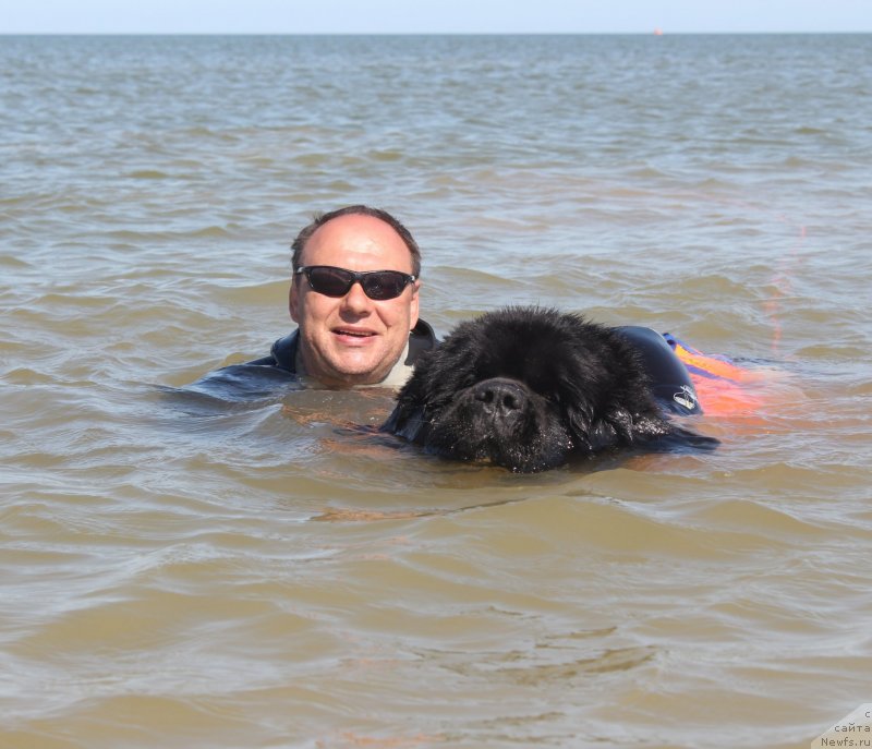 Фотография № 229781