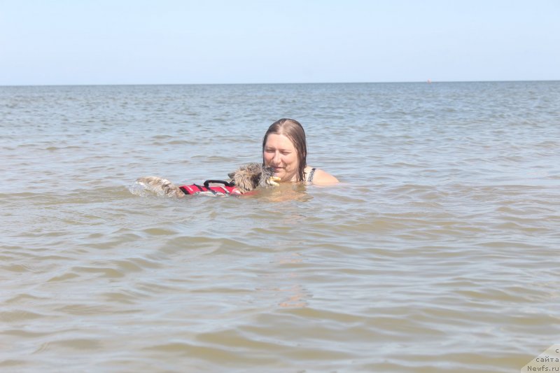 Фотография № 229784