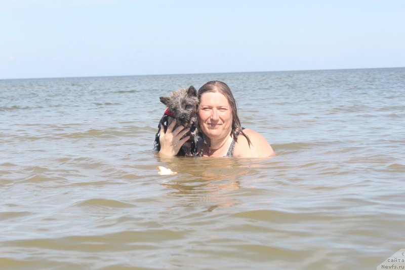 Фотография № 229785