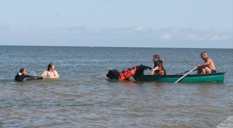 Фотография № 229787