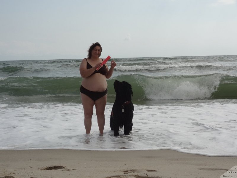 Фото: ньюфаундленд Матвей с Берега Дона (Matvey s Berega Dona), Лилиана Рахматова