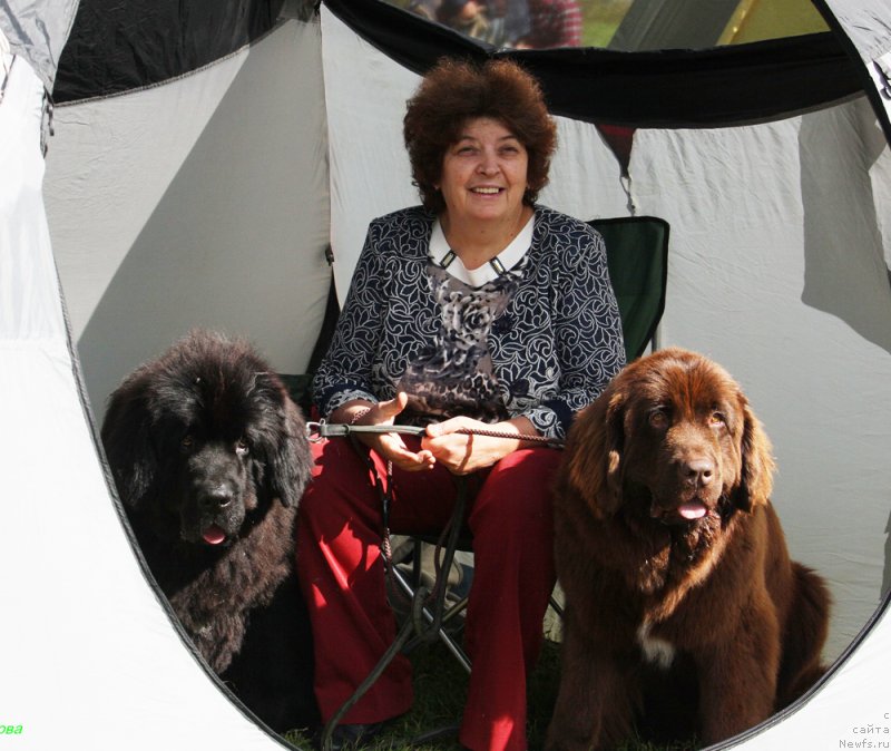 Фотография № 229824