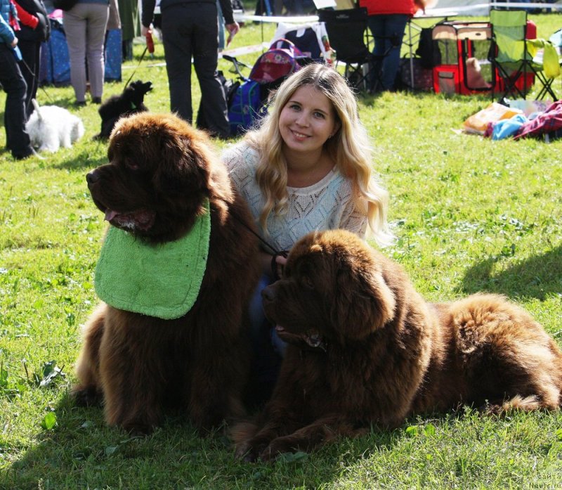 Фотография № 229839