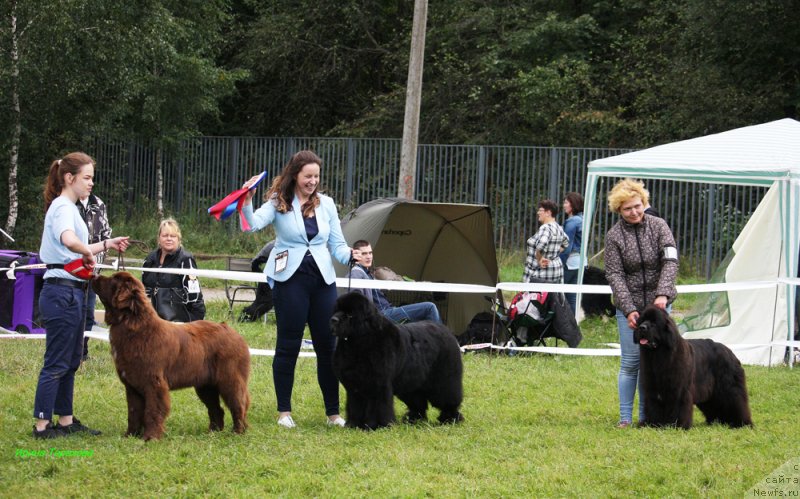 Фотография № 229841