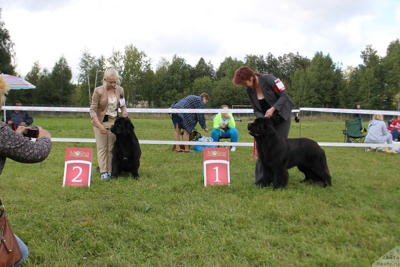 Фотография № 229858