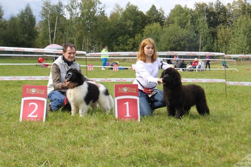 Фотография № 229861