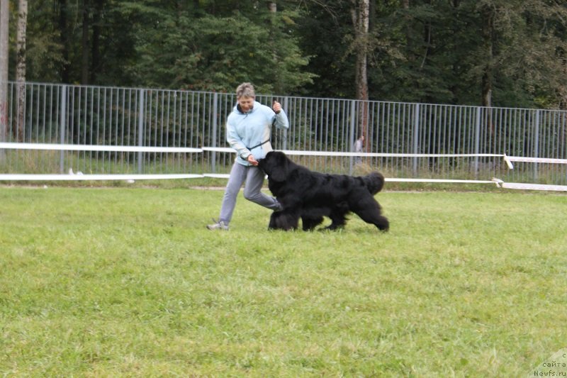 Фотография № 229865