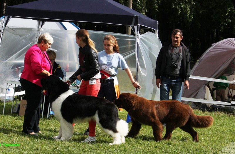 Фотография № 229875