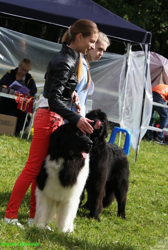 Фотография № 229877