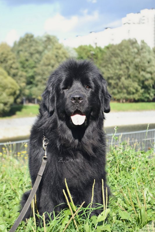 Фотография № 229915