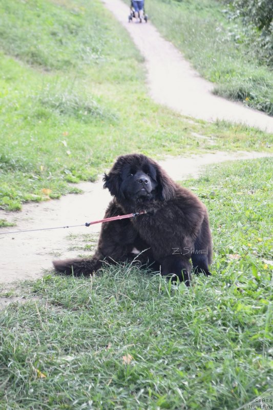 Фотография № 229926