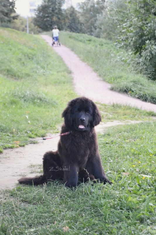 Фотография № 229928