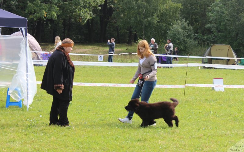 Фотография № 229944