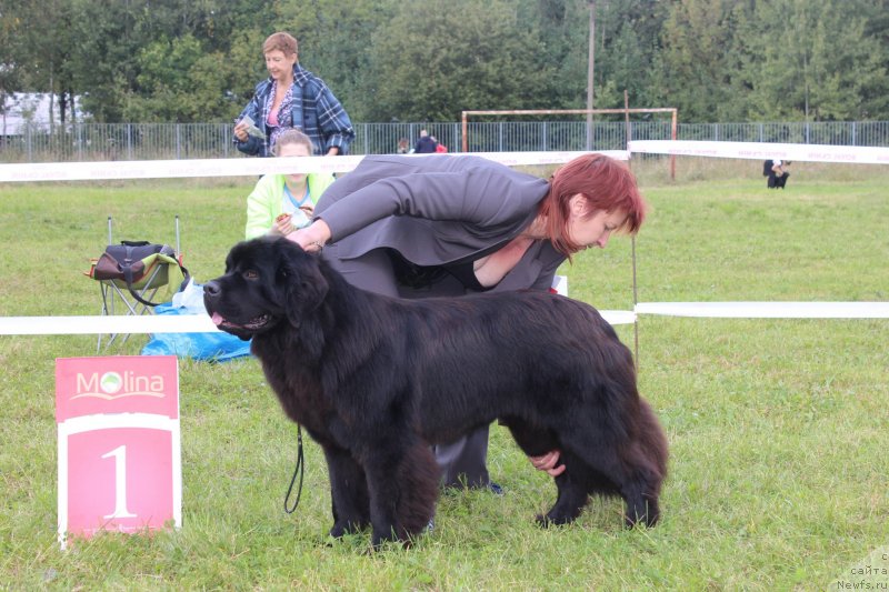 Фотография № 229947