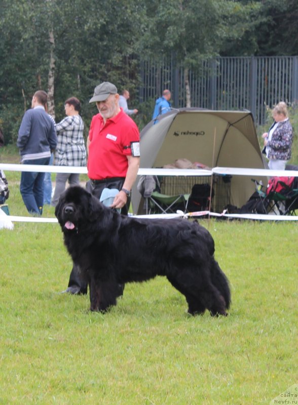 Фотография № 229952