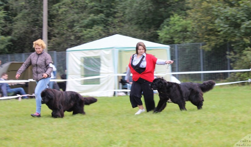 Фотография № 229957