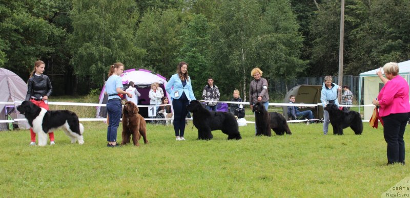 Фотография № 229962