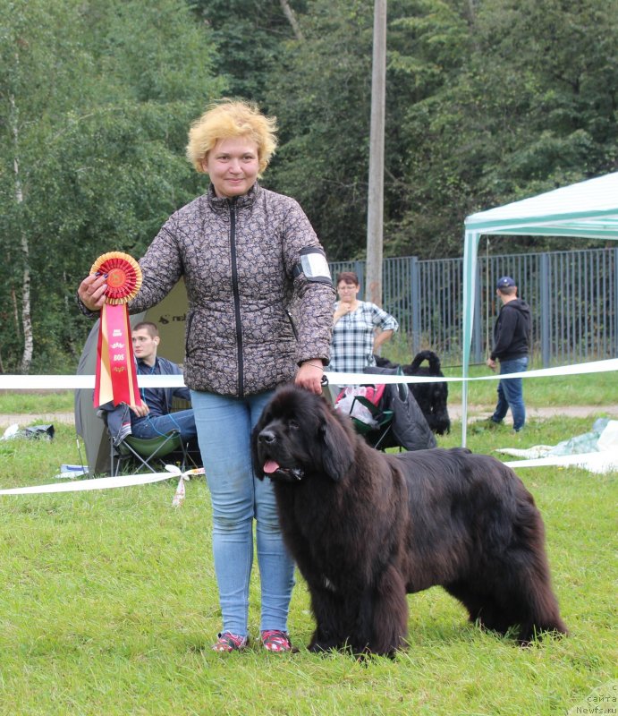 Фотография № 229966