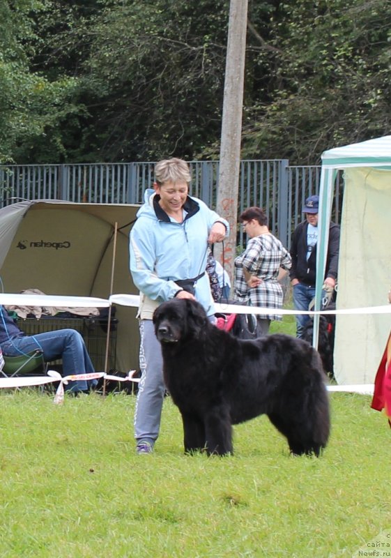 Фотография № 229970